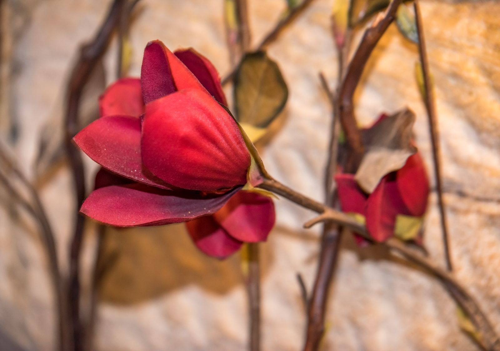 Tang Spa Beauty Massage - Glebe image 10