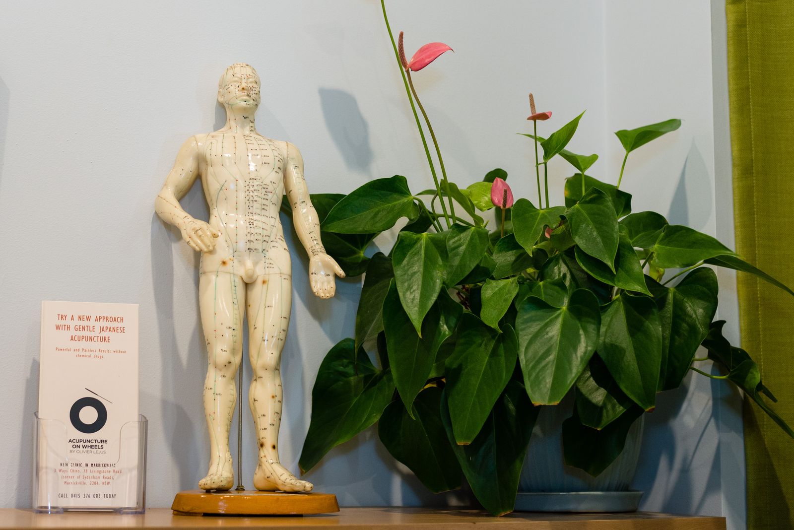 Acupuncture On Wheels - Marrickville image 7