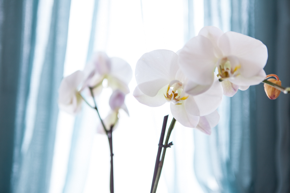 Charlotte's Harmony Beauty Therapy image 6