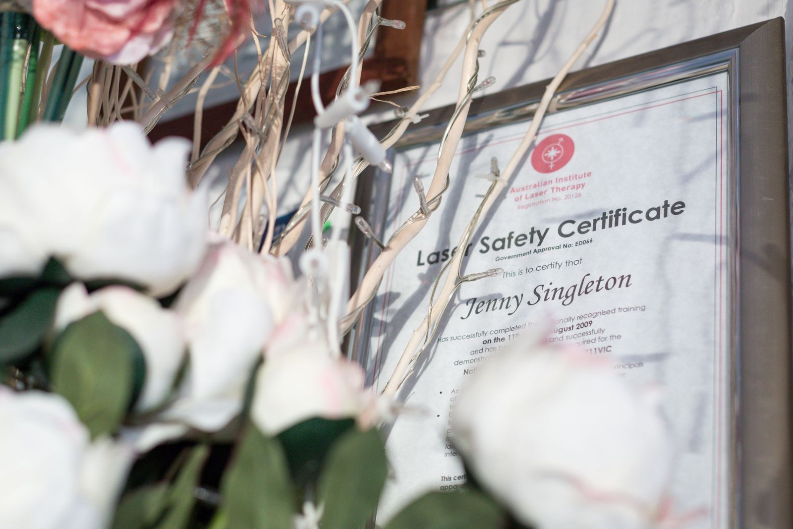 Fountain Of Youth image 12