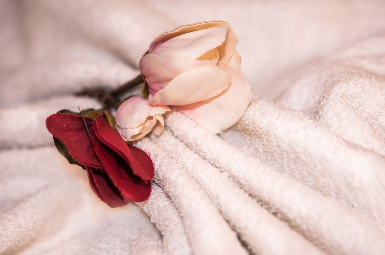 Tang Spa Beauty Massage - Glebe image 11