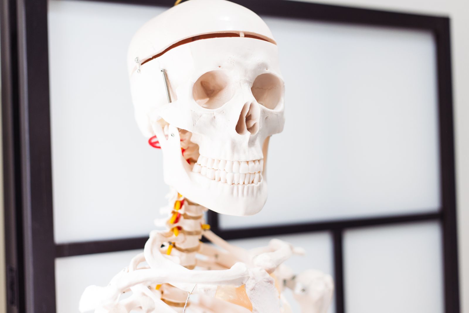 Myofit Massage Therapy image 6