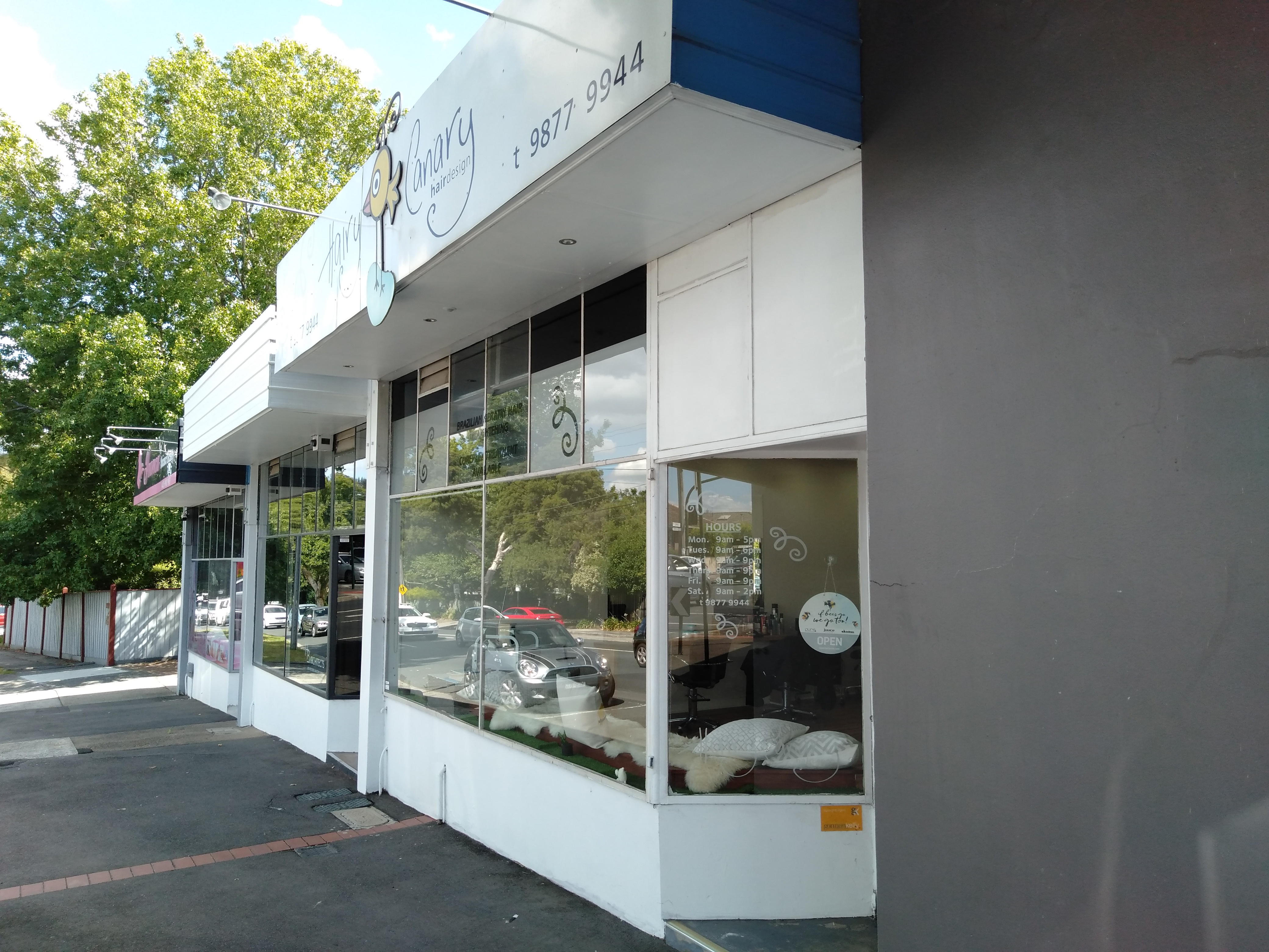 Hairy Canary Hair Design