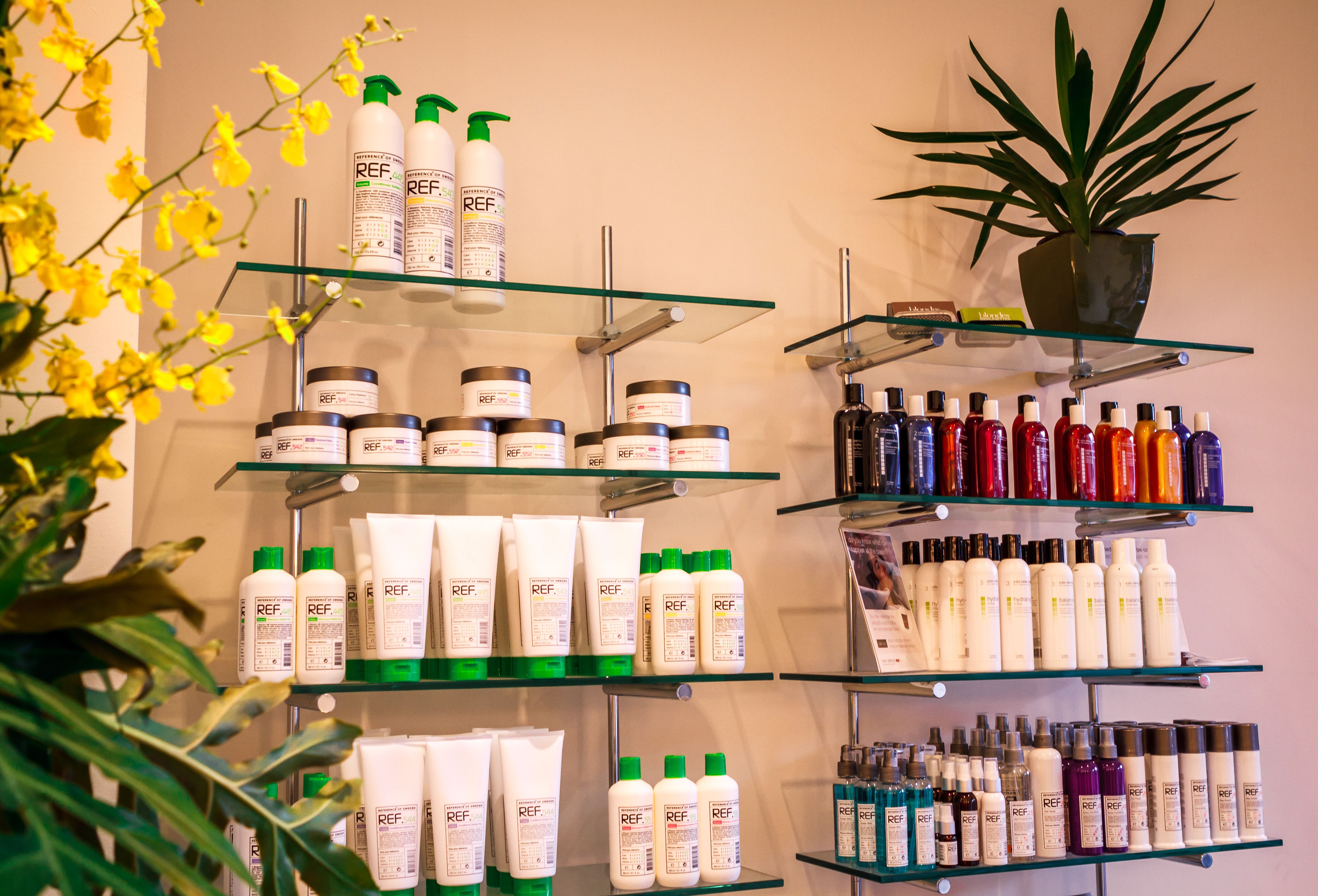 Blondes To Brunettes image 5