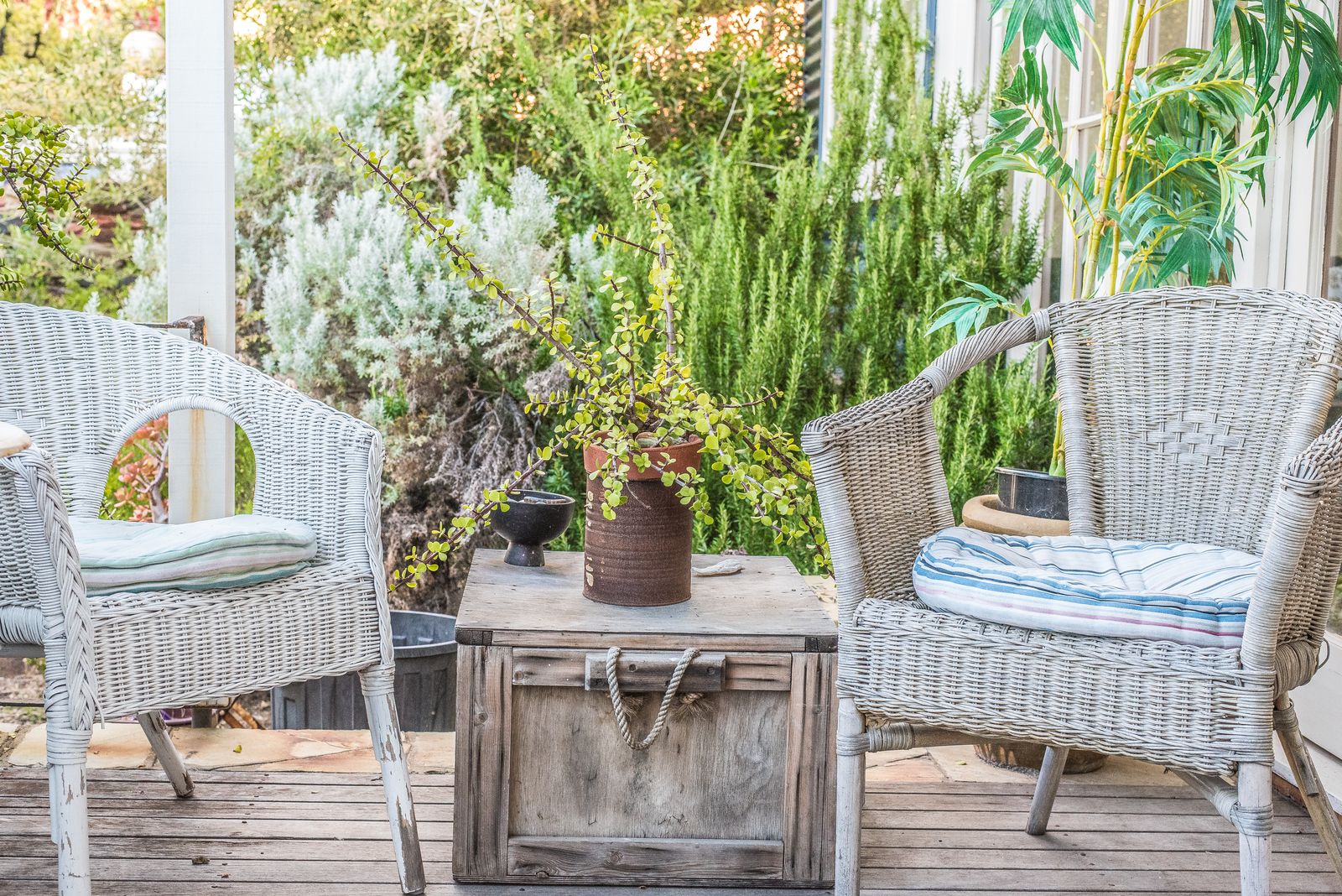 Natural Health Care image 14