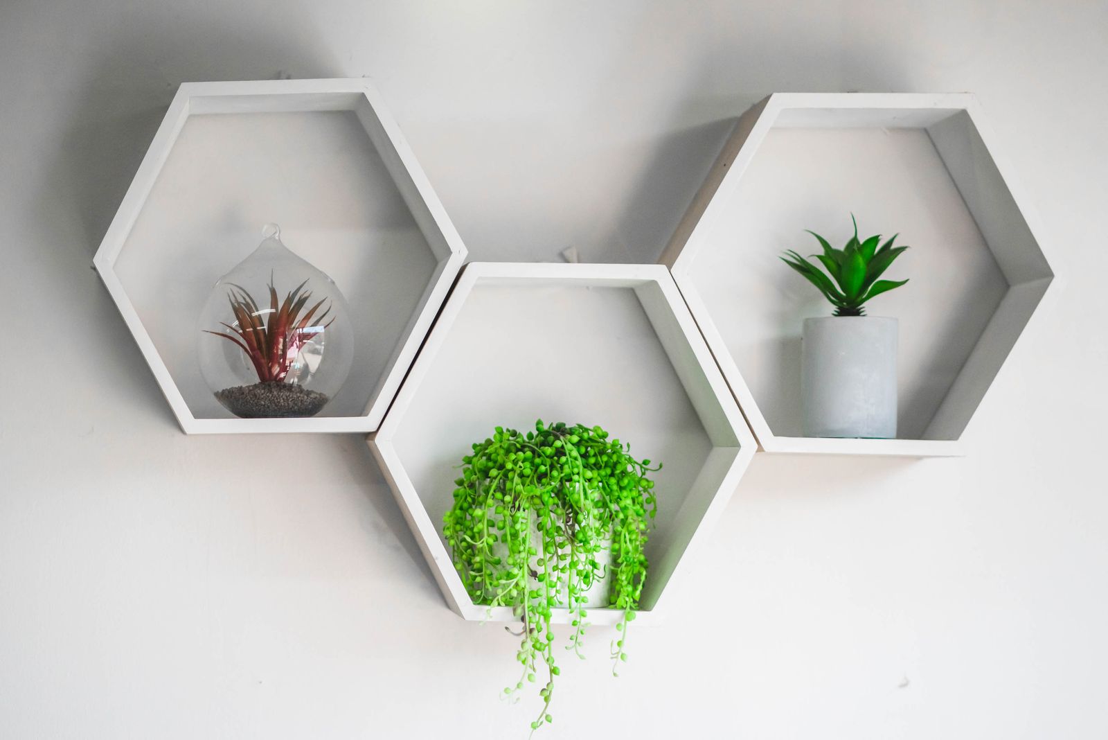 Studio 44one image 12