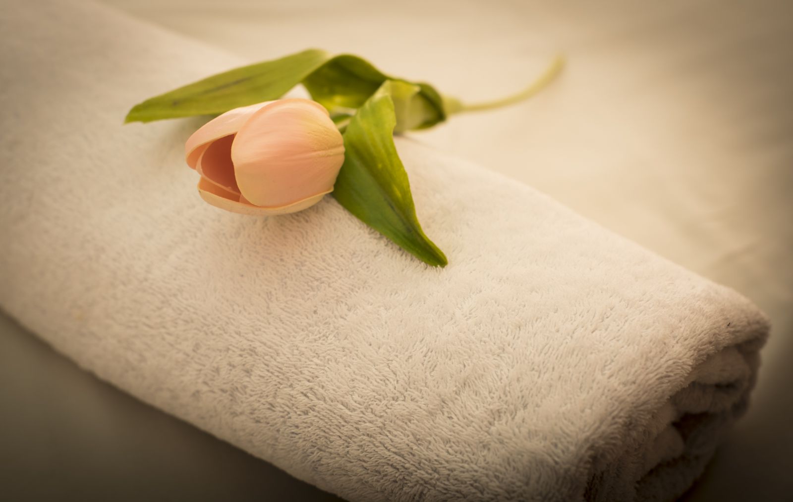 Tina's Remedial Massage image 2