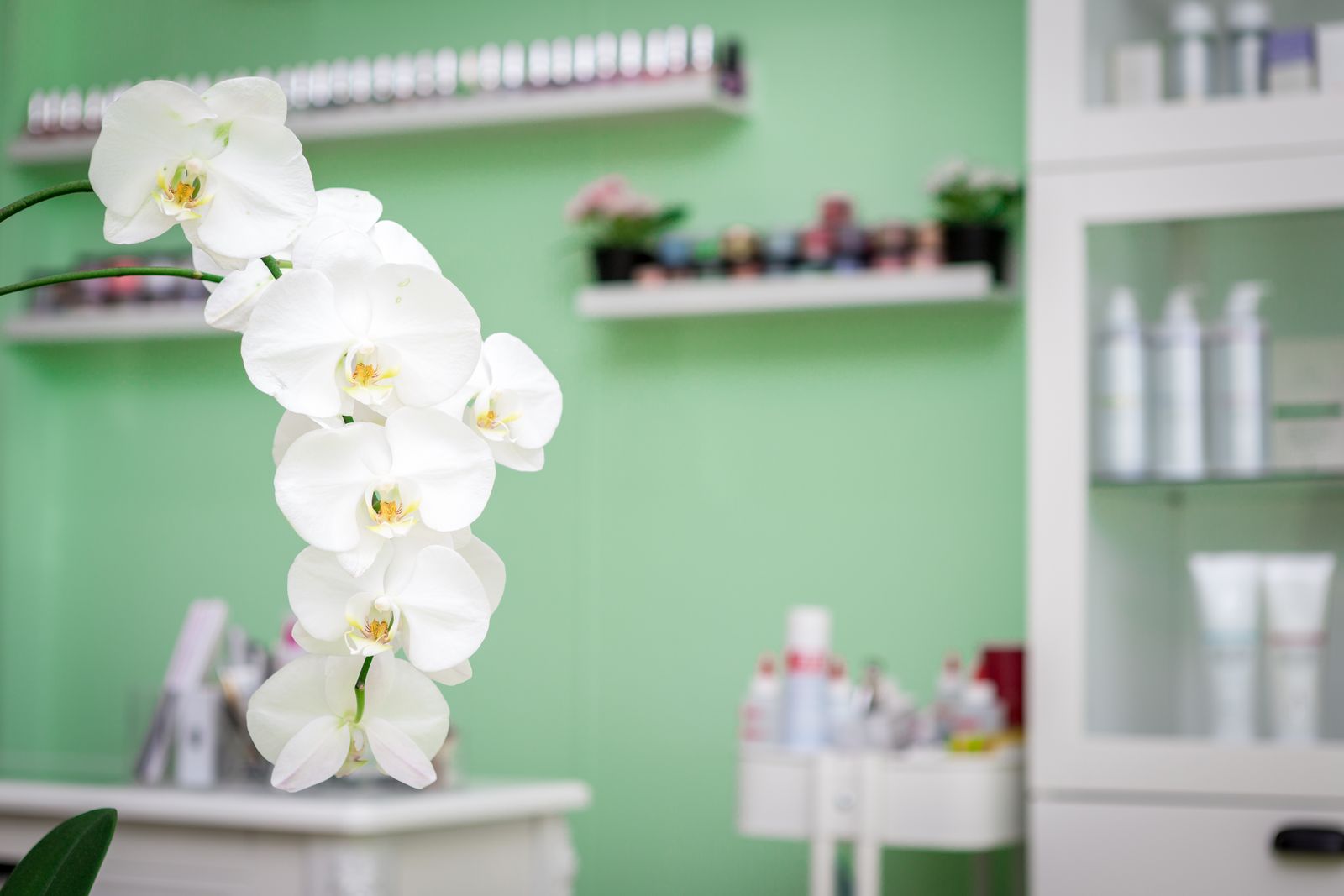 Flaunt’em image 13