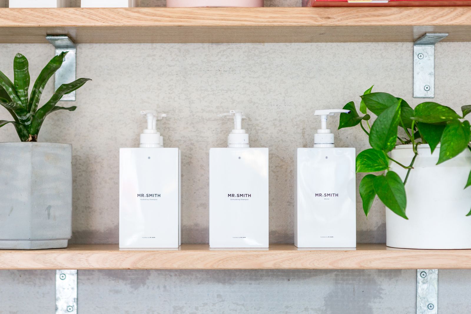 Galen Colour image 7