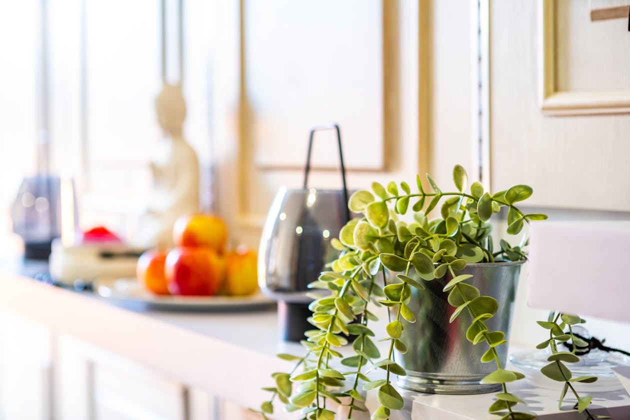 Health & Wellness Day Spa image 22