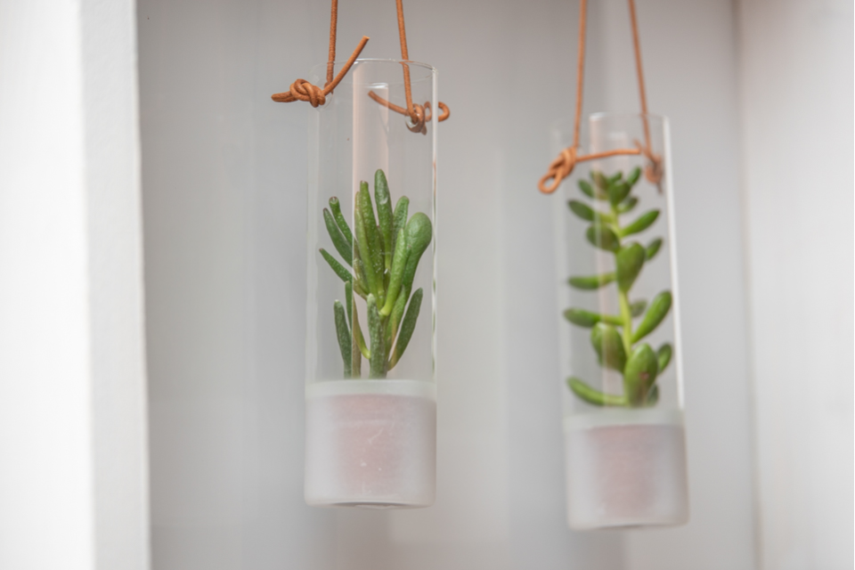 Tulip Beauty - Lash & Brow image 10