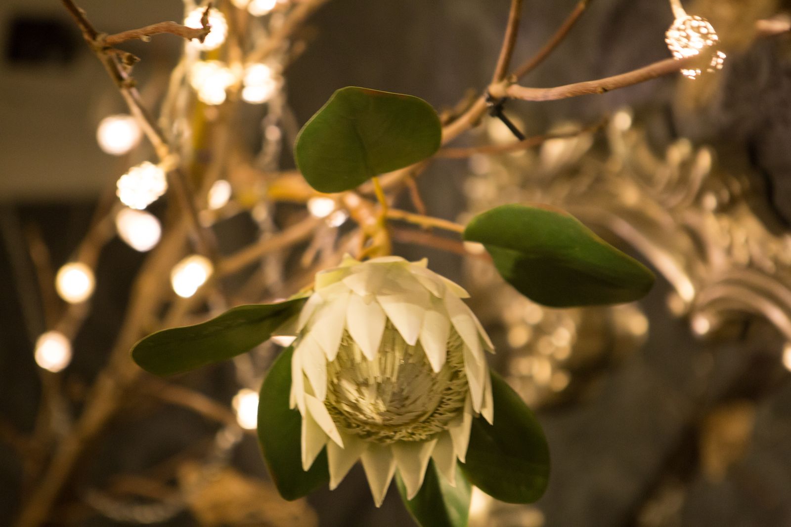 Orchard Road Nail & Beauty image 4