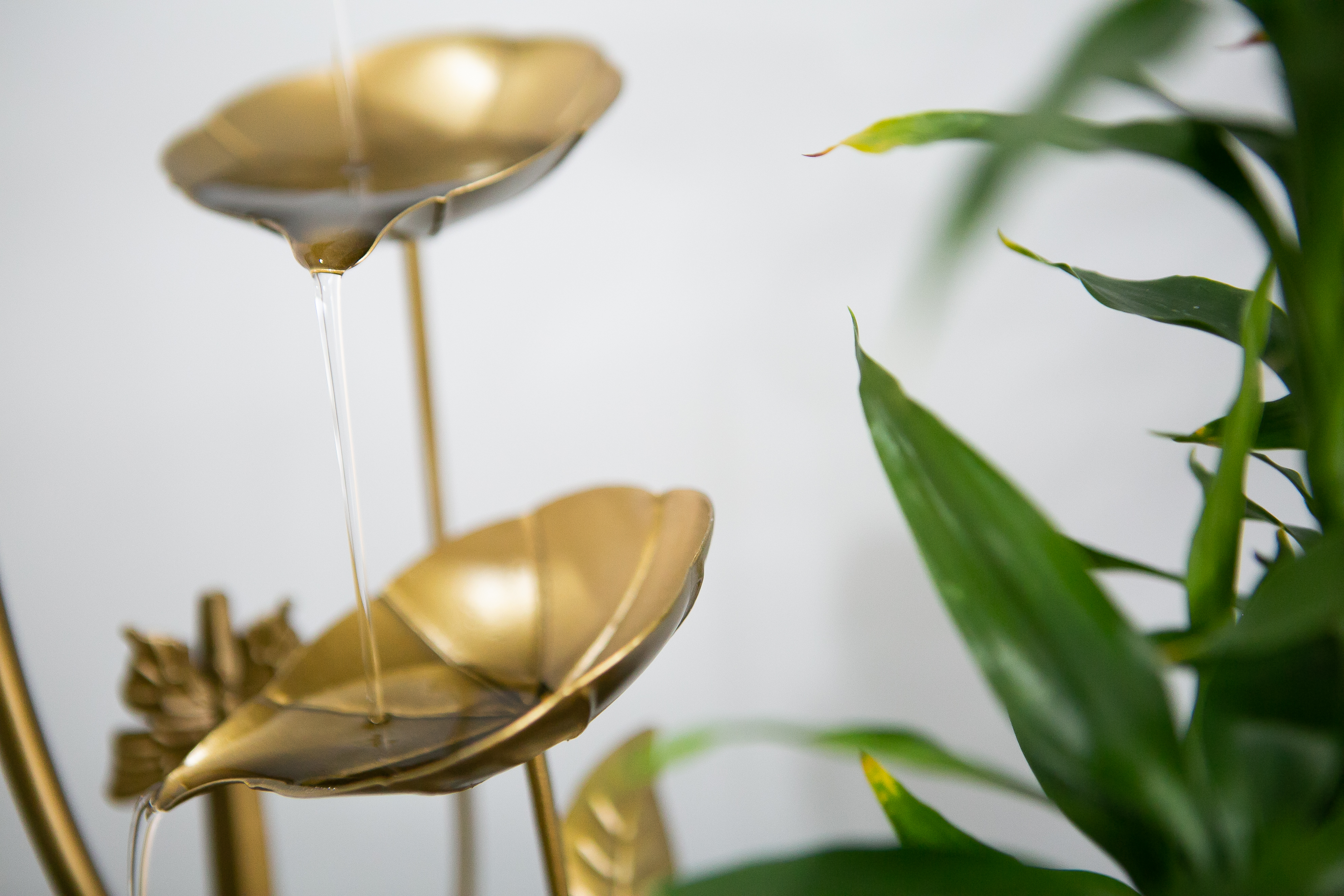 Nada Thai Massage and Spa image 12