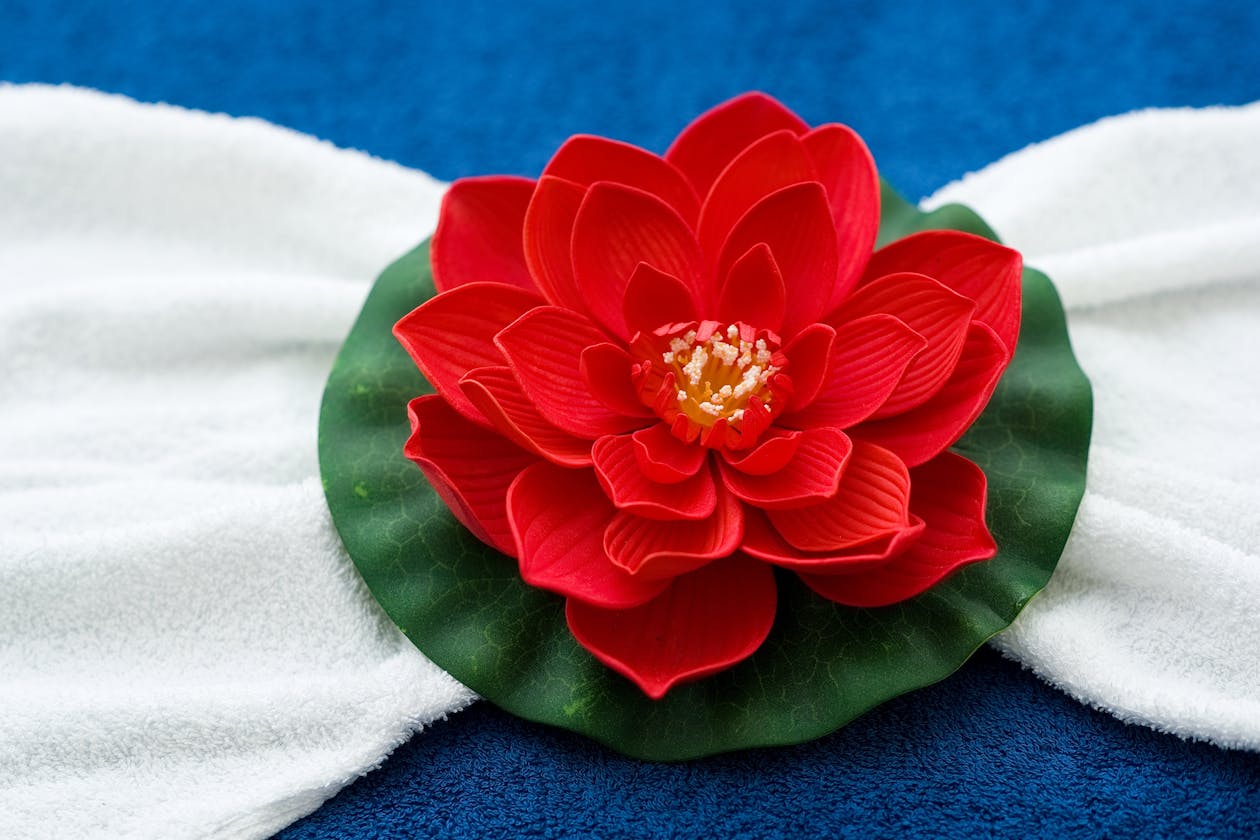 Red Lotus Massage - Cheltenham image 12