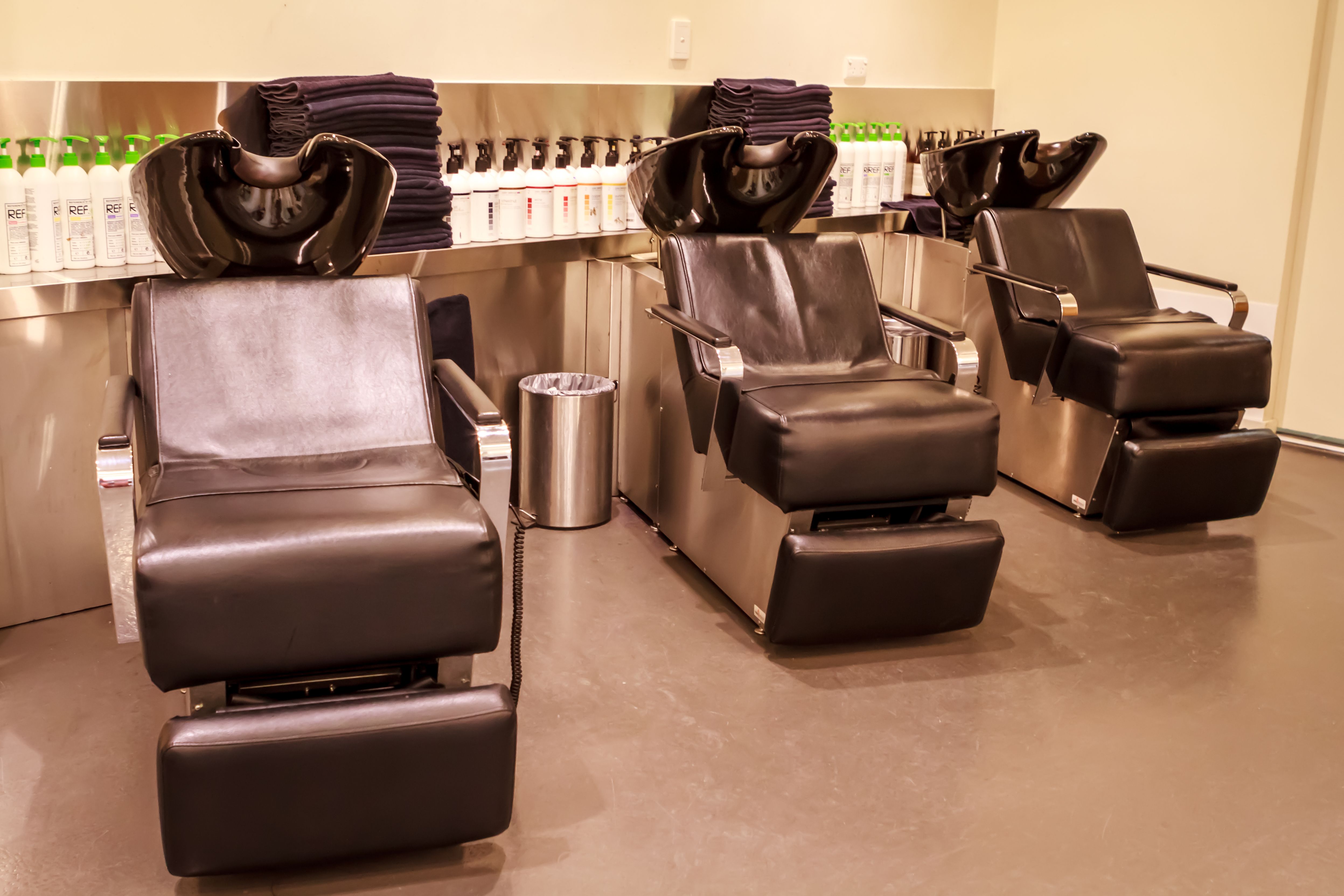 Blondes To Brunettes image 4