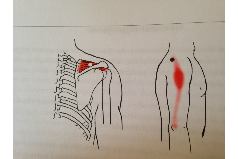 Nathan Burns Acupuncture & Massage - Hawthorn image 7