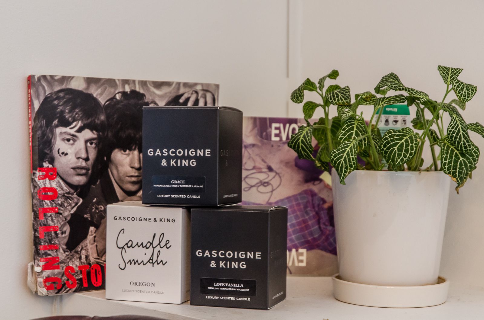 Altering Images By Yovanka Rothschild image 4