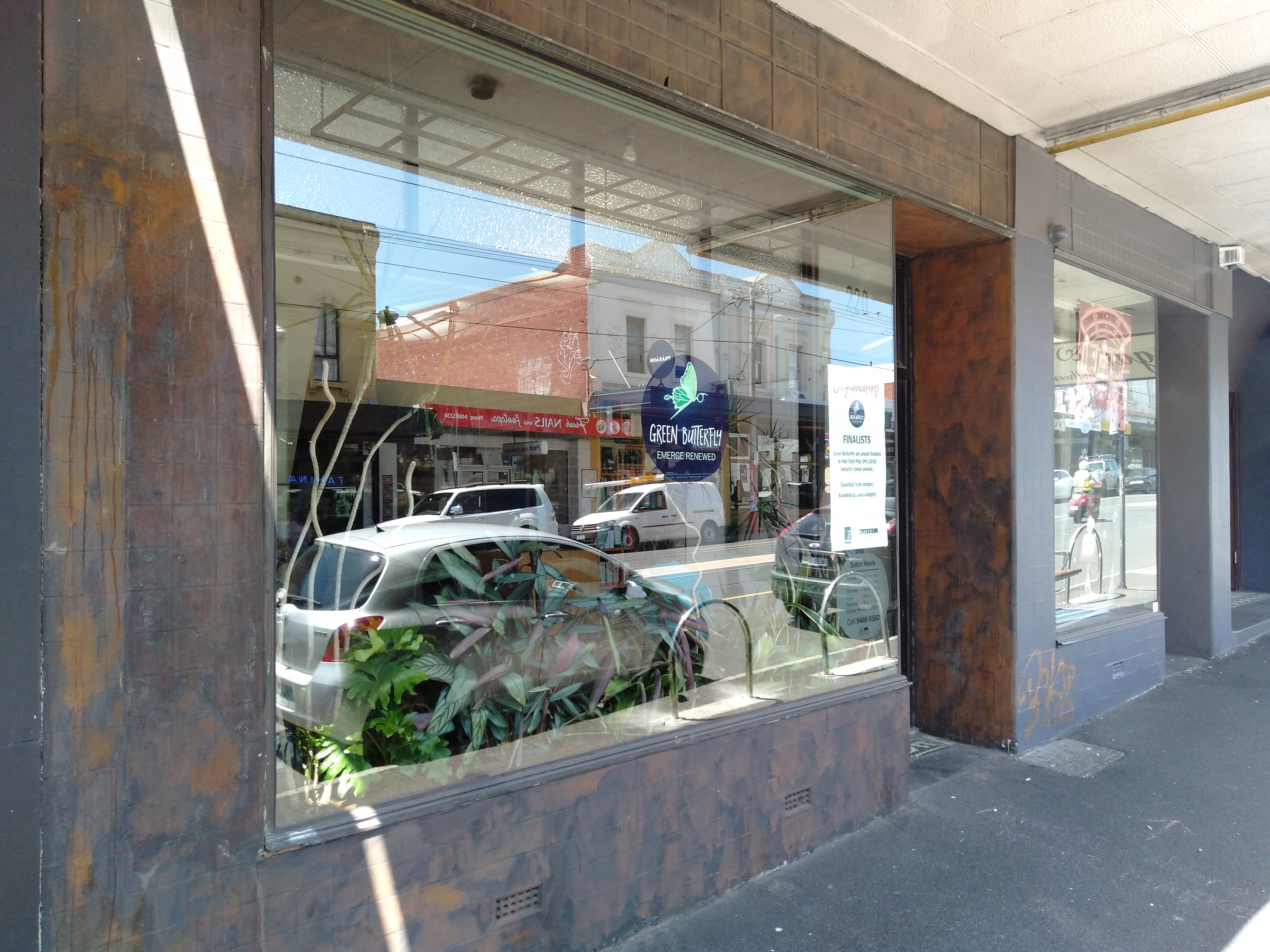 Green Butterfly image 2