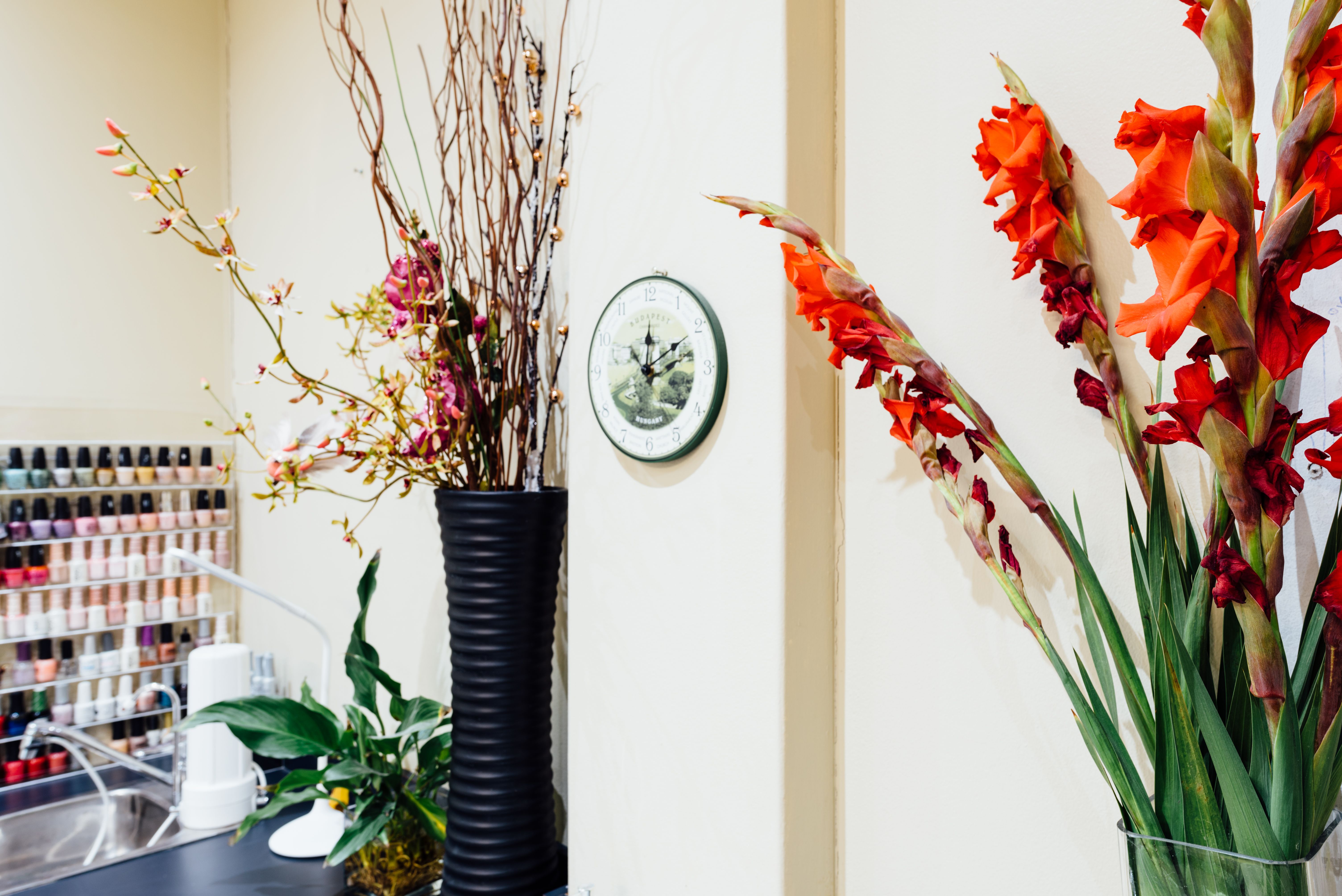 Mosman Lashes Studio image 14