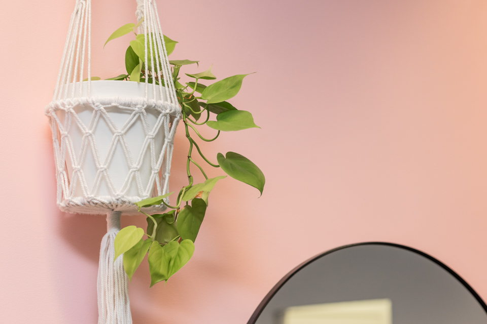 Local Colour Hair Studio - Subiaco image 6