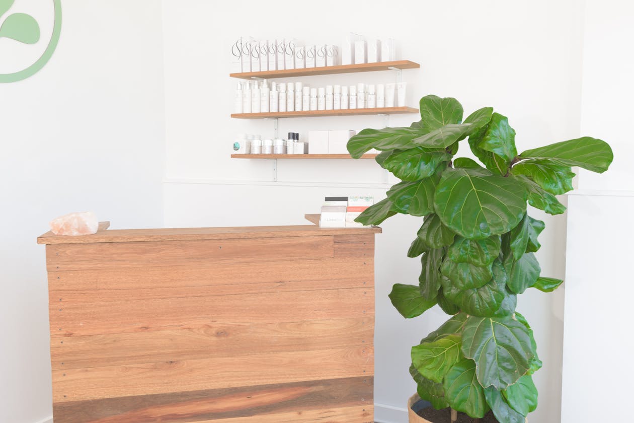 Liebe Wellness image 3