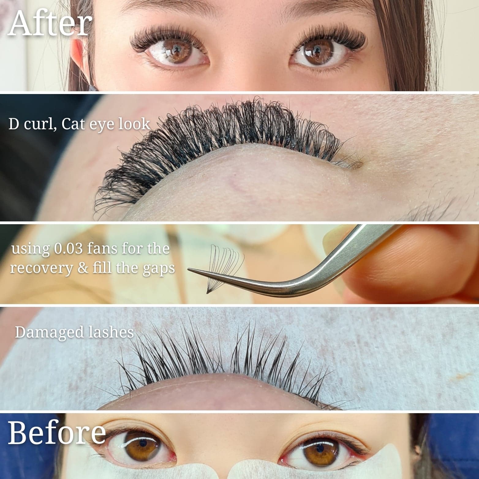 The Seven Great Lashes image 18