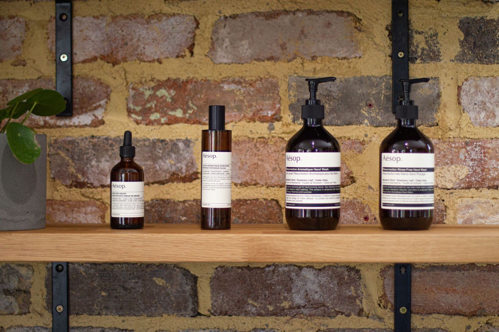 Marc & Maxwell image 7