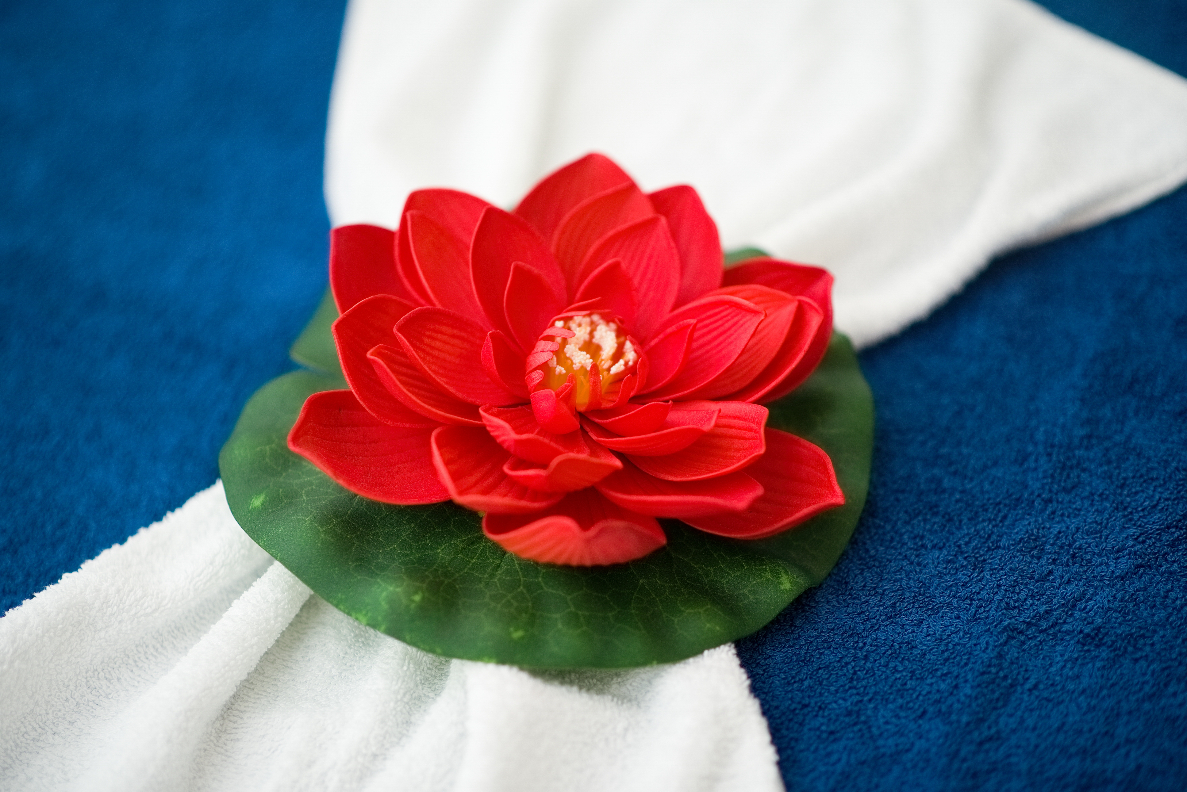 Red Lotus Massage - Cheltenham image 11