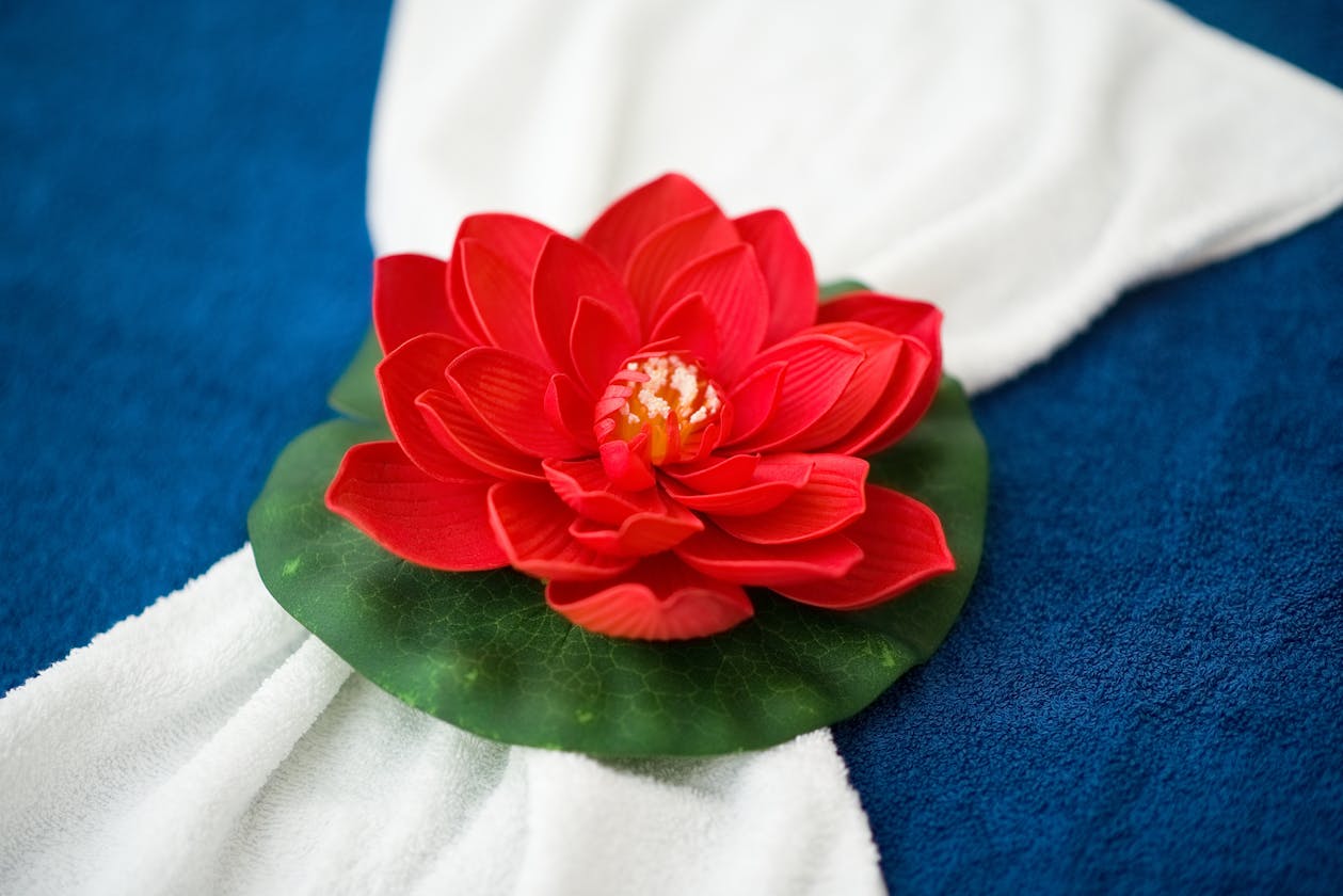 Red Lotus Massage - Cheltenham image 11