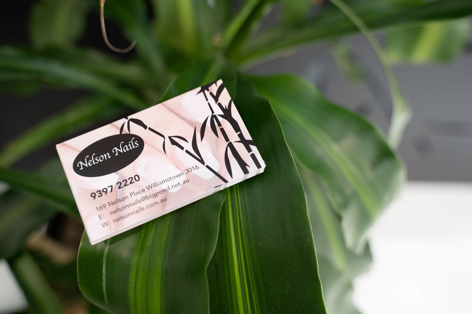 Nelson Nails image 14