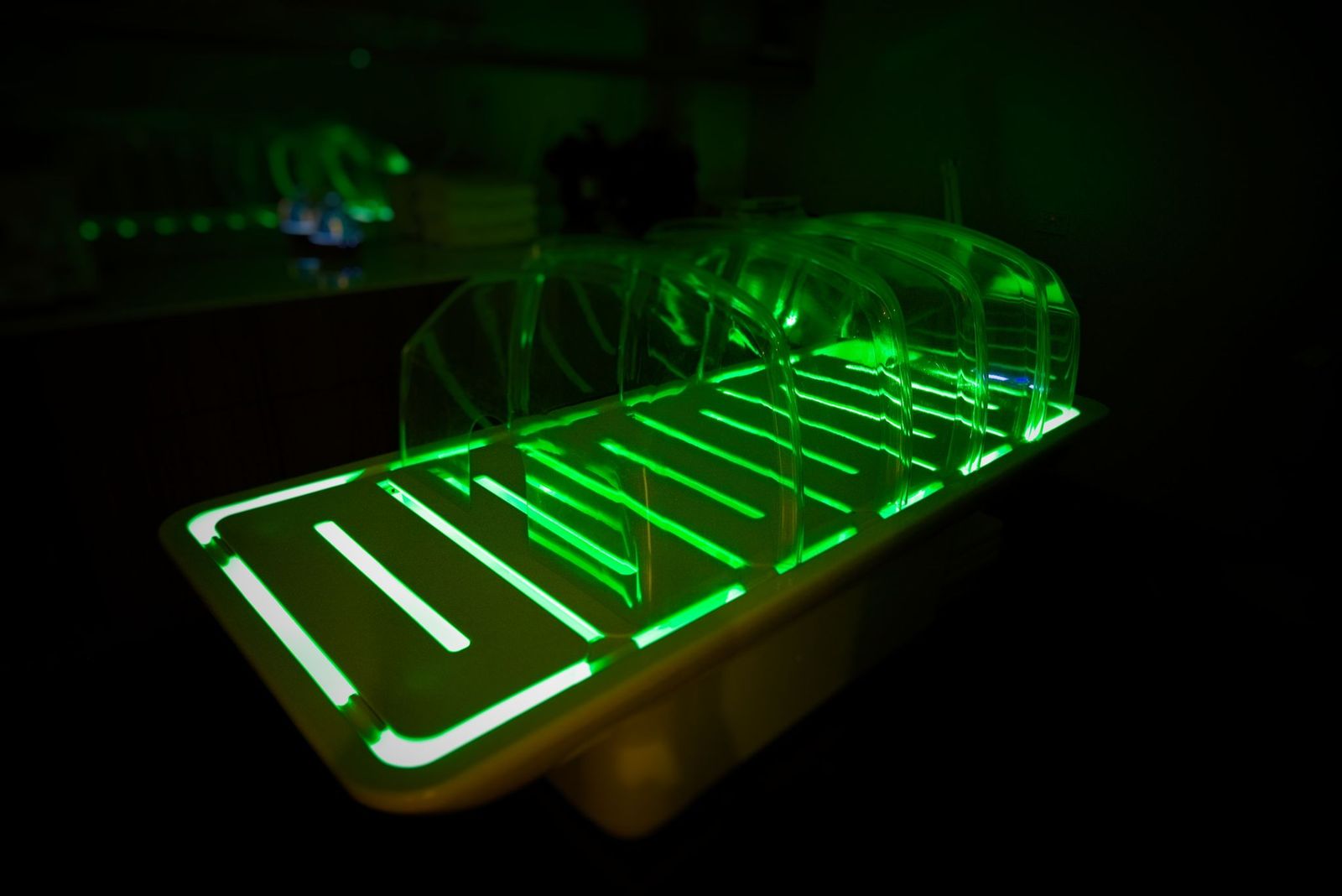 Accent Nail Bar image 12