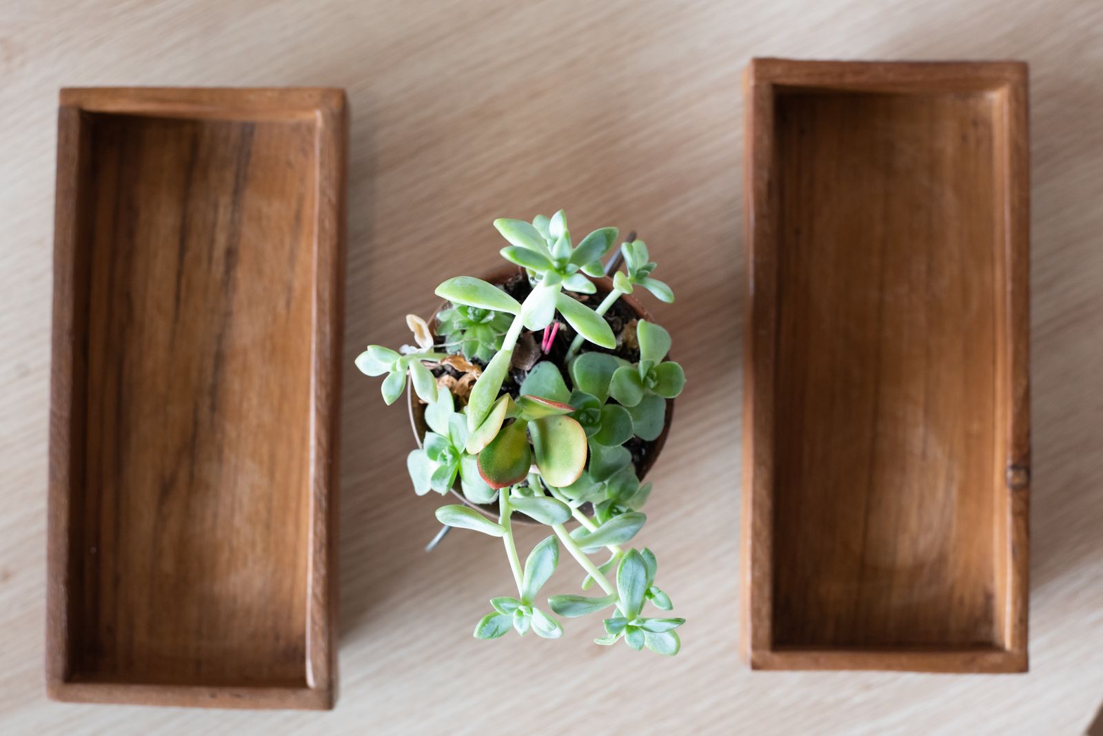 The Massage Studio image 5