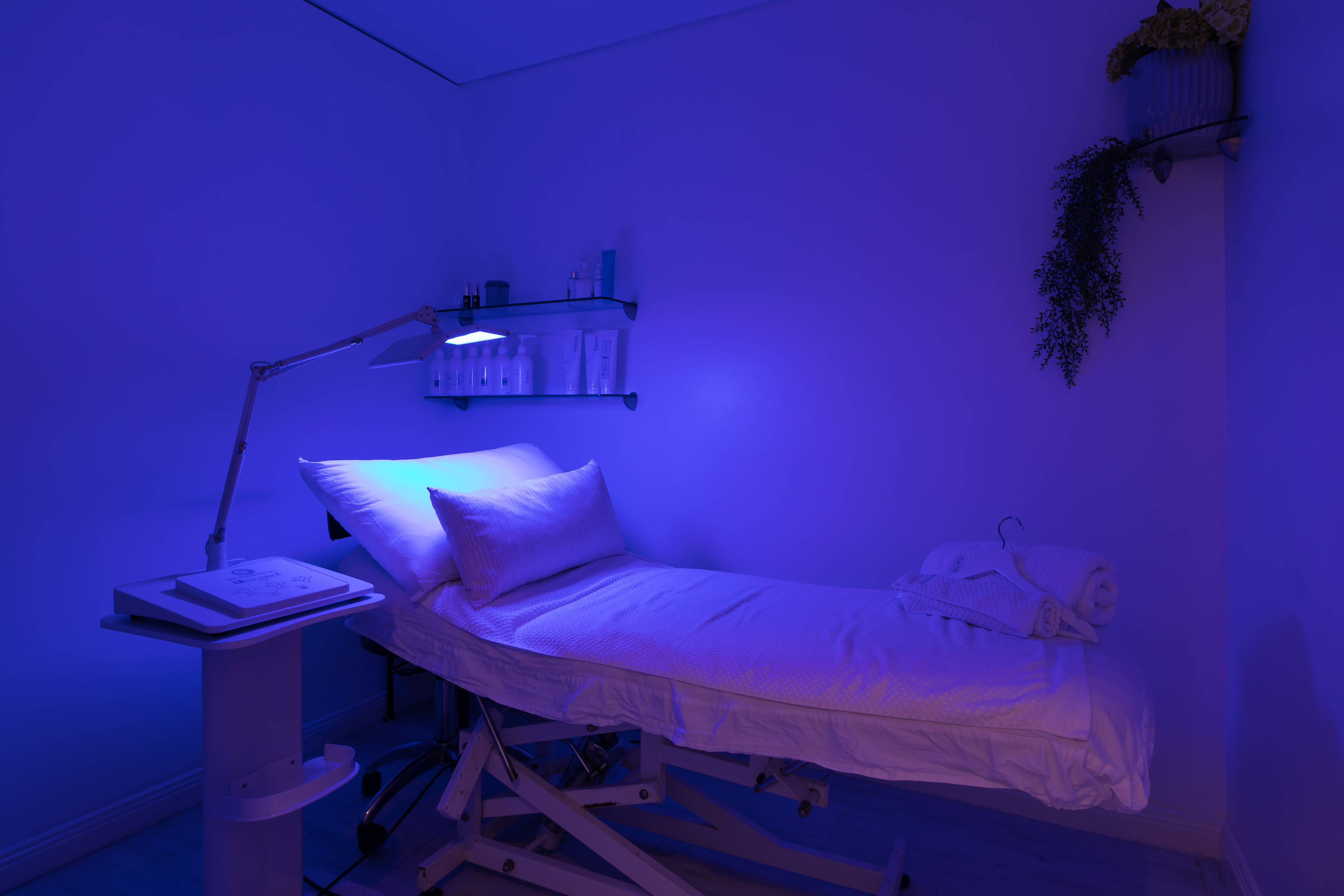 Dermal Boutique - Kogarah image 6