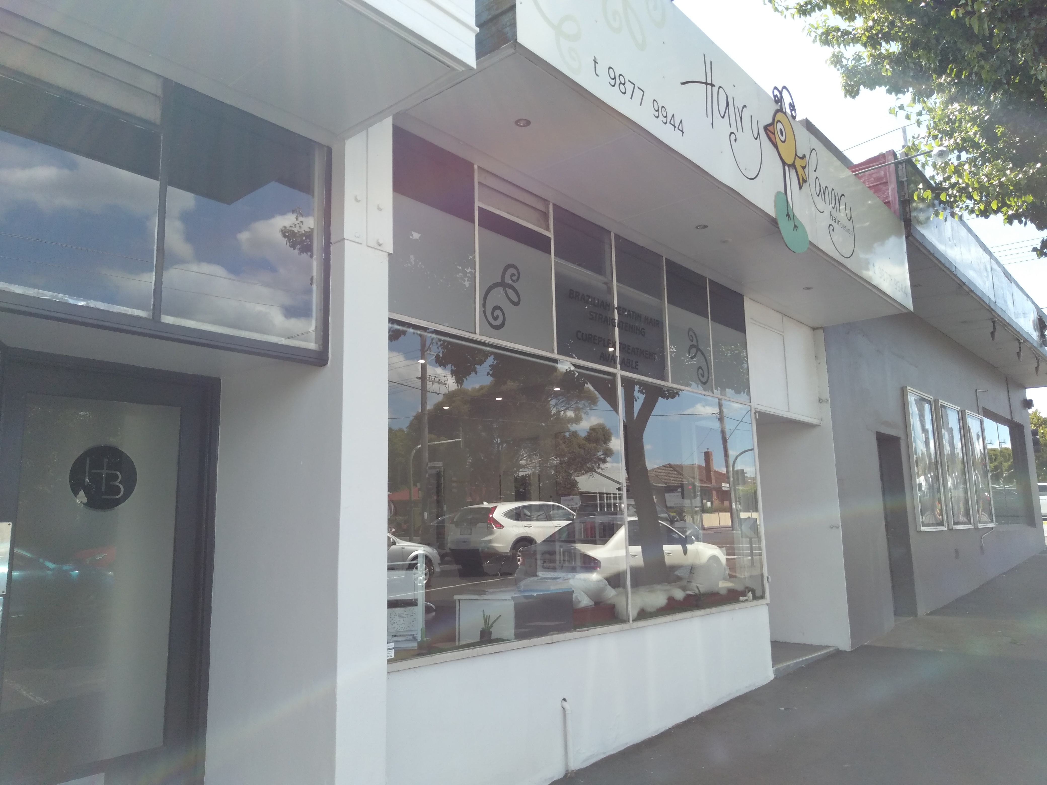 Hairy Canary Hair Design image 2