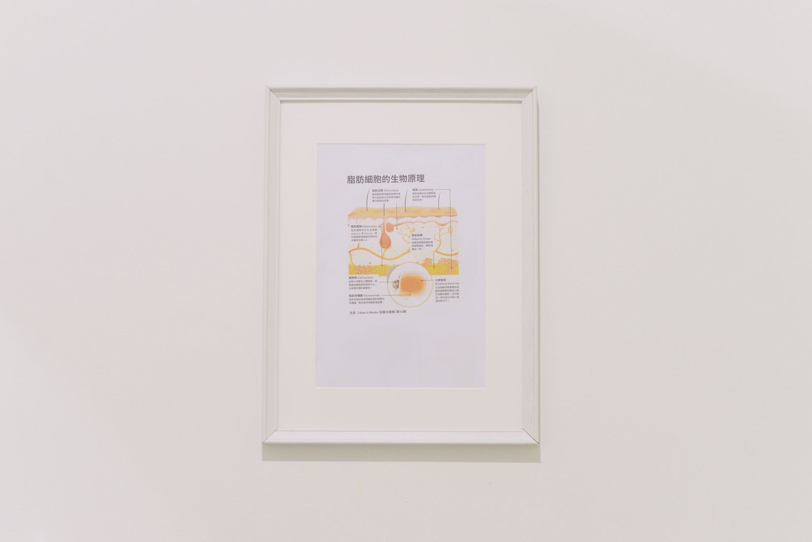 I-Beaute Skin + Body image 6