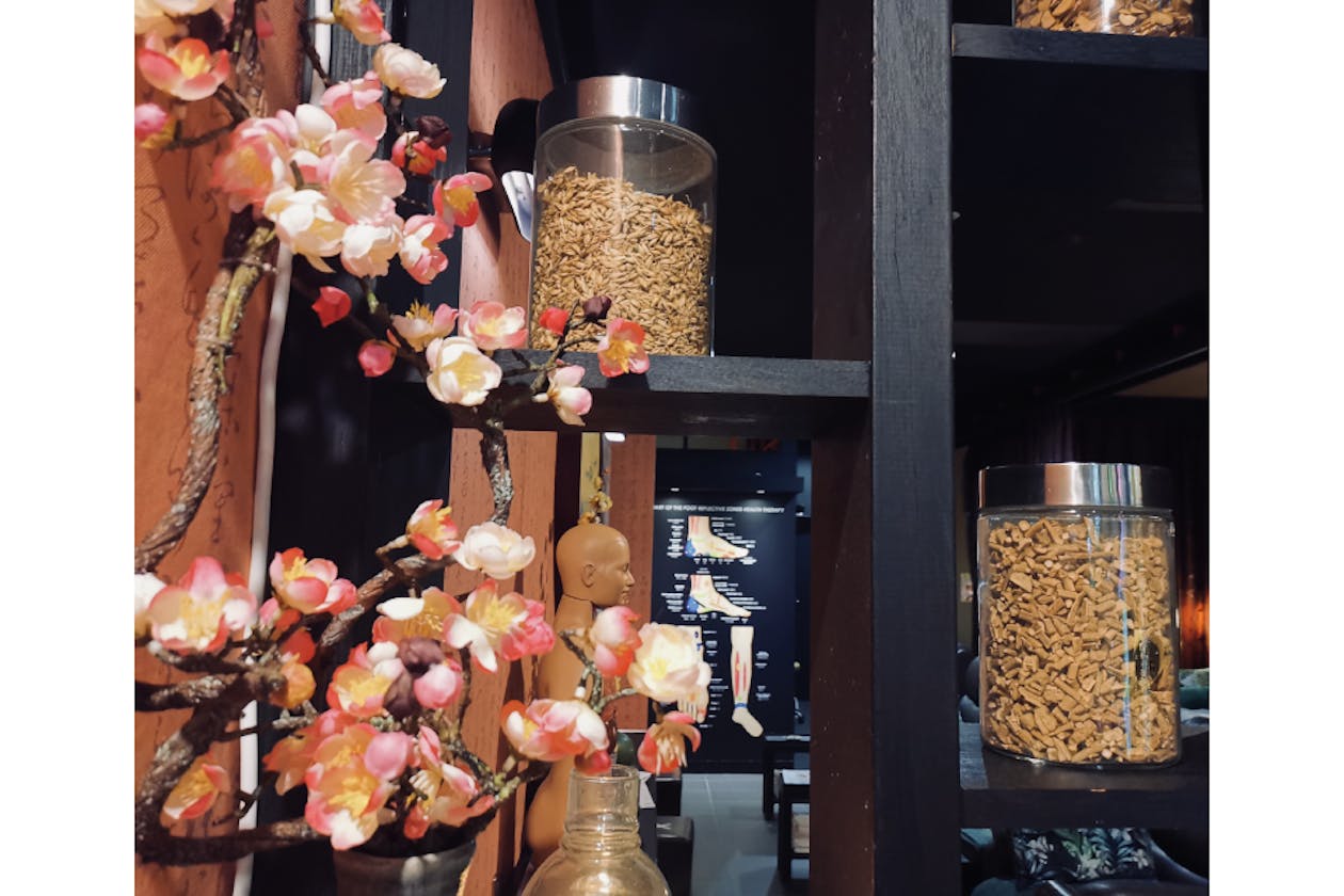 Green Palm Massage - Glen Waverley image 4