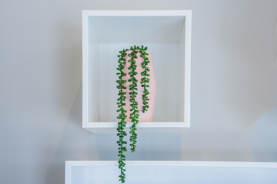 Aesthetics & Co image 13