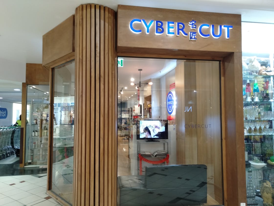 Cybercut