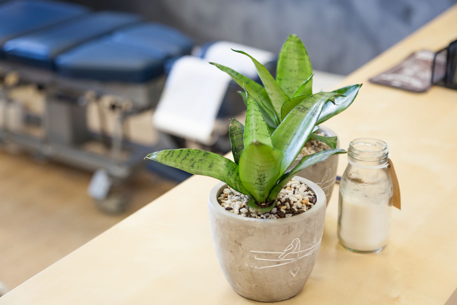 Chiropractic Central Lane Cove image 15