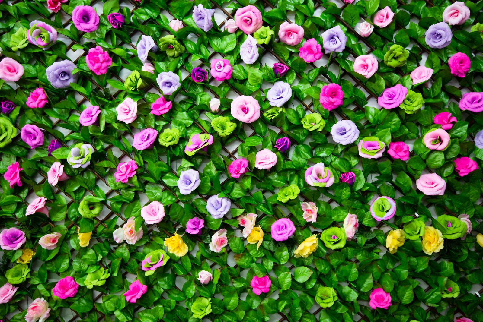 Studio 44one image 18