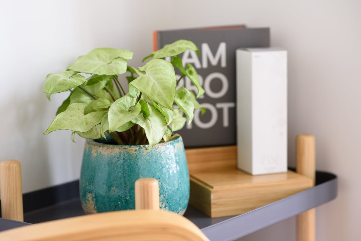 Petrichor Day Spa image 9