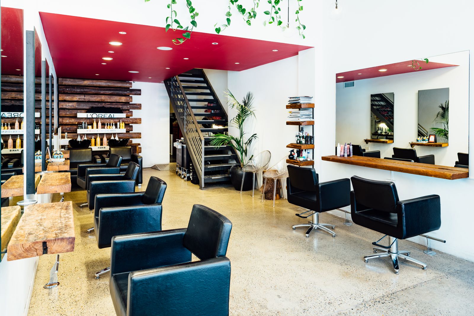 Hairvolution image 3