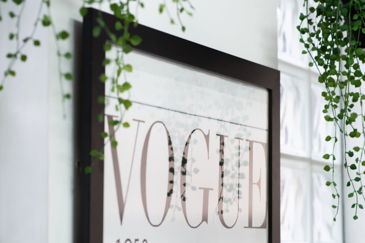 ZenSkin Studio image 5