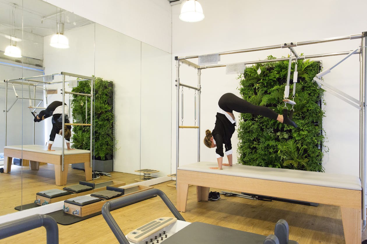 Domain Health Physiotherapy & Fitness Studio - South Melbourne image 4