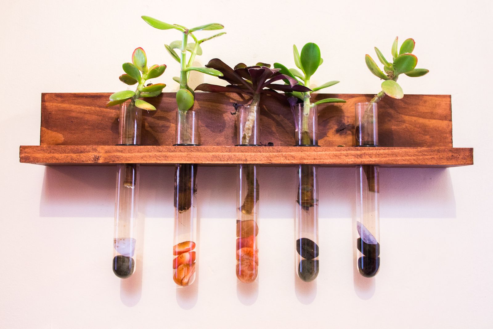 Stable Massage - North Fitzroy image 2