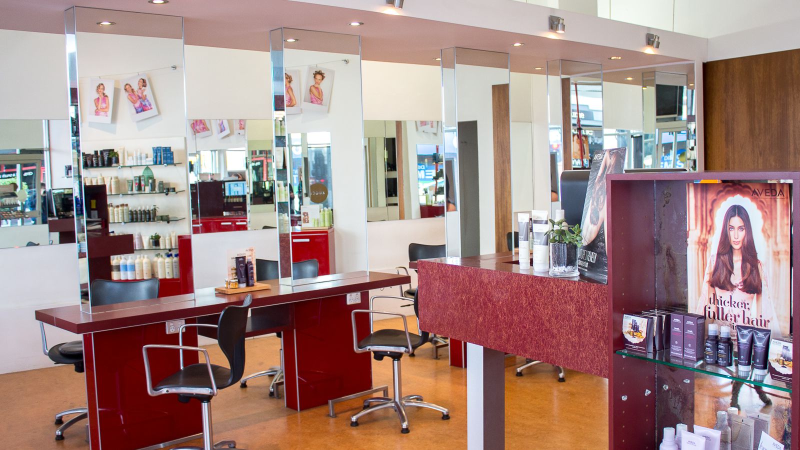 Zucci - Ivanhoe image 2