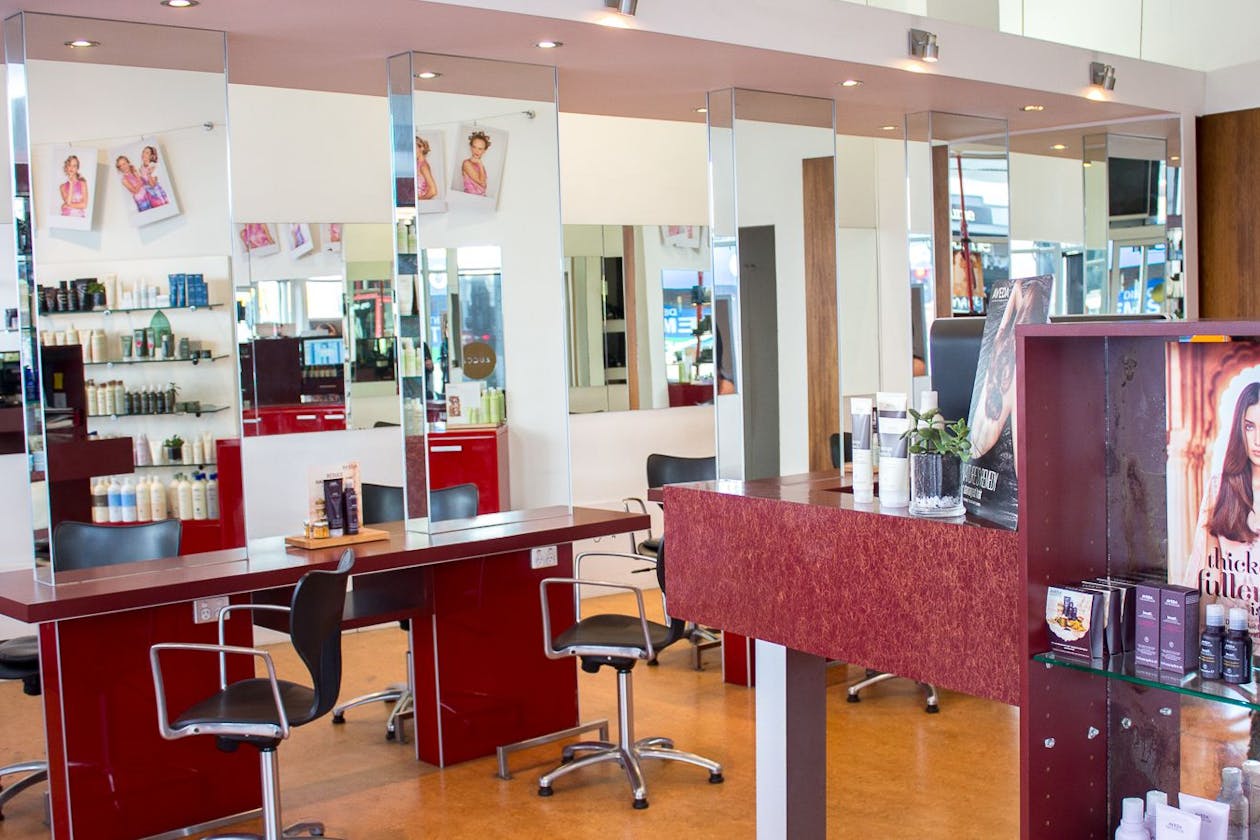 Zucci - Ivanhoe image 2