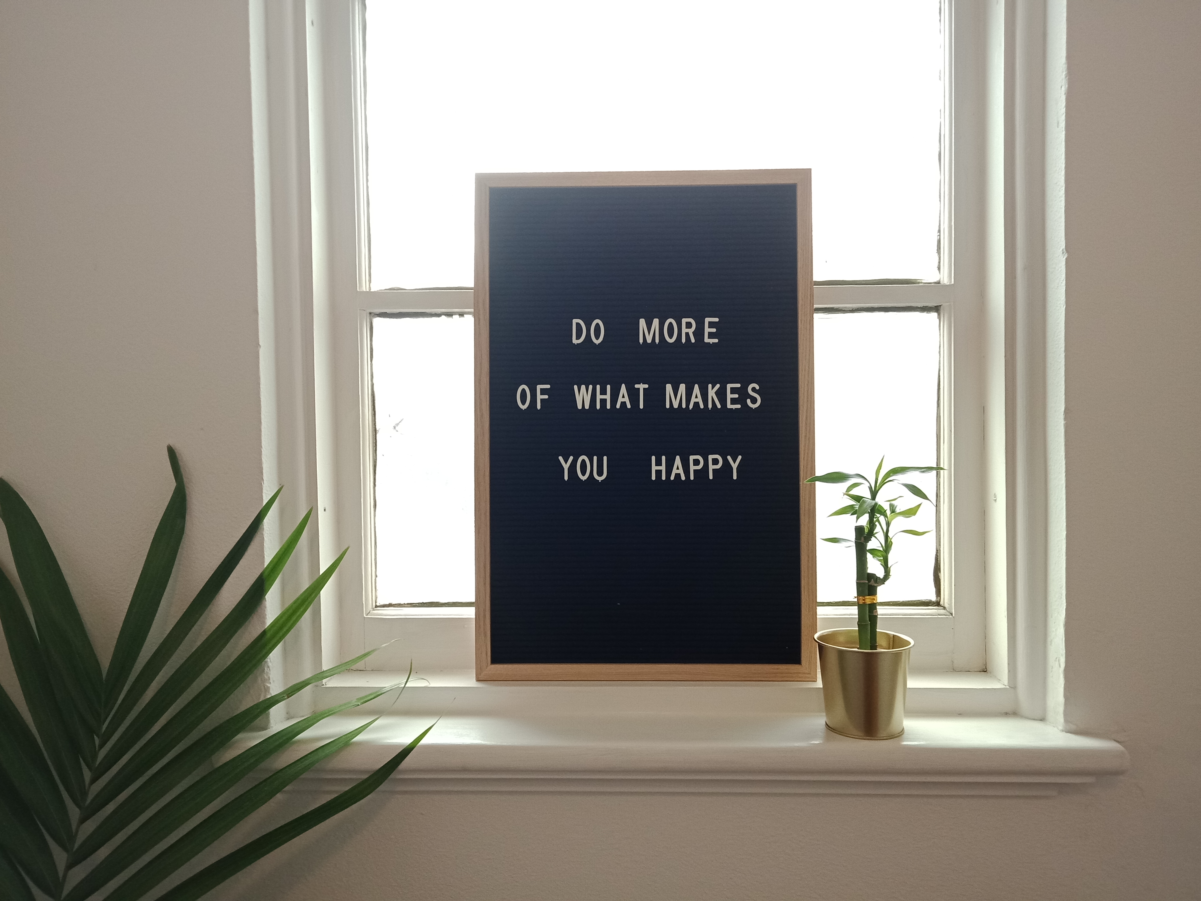 Trading Faces image 3