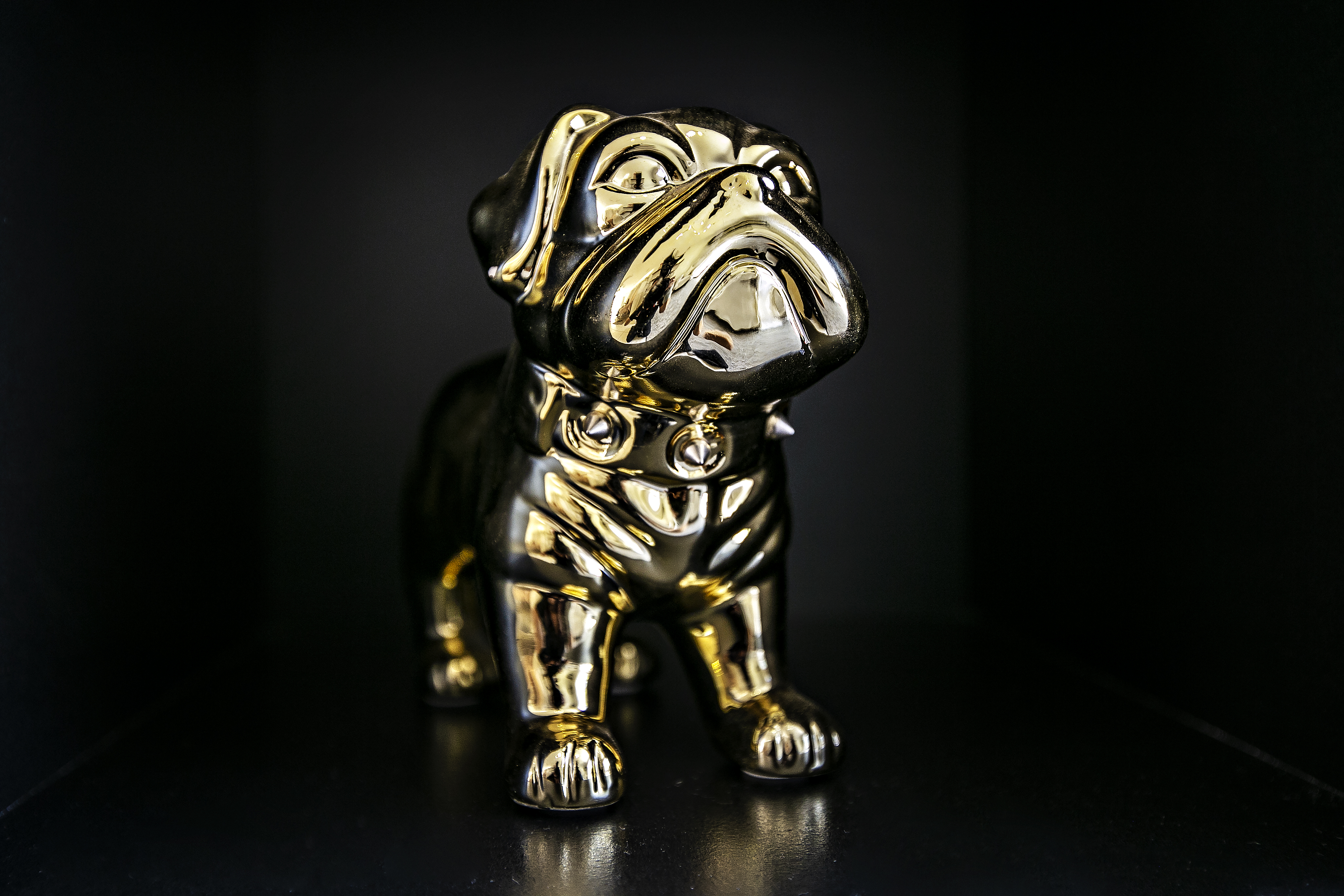 The Lash Connection image 16