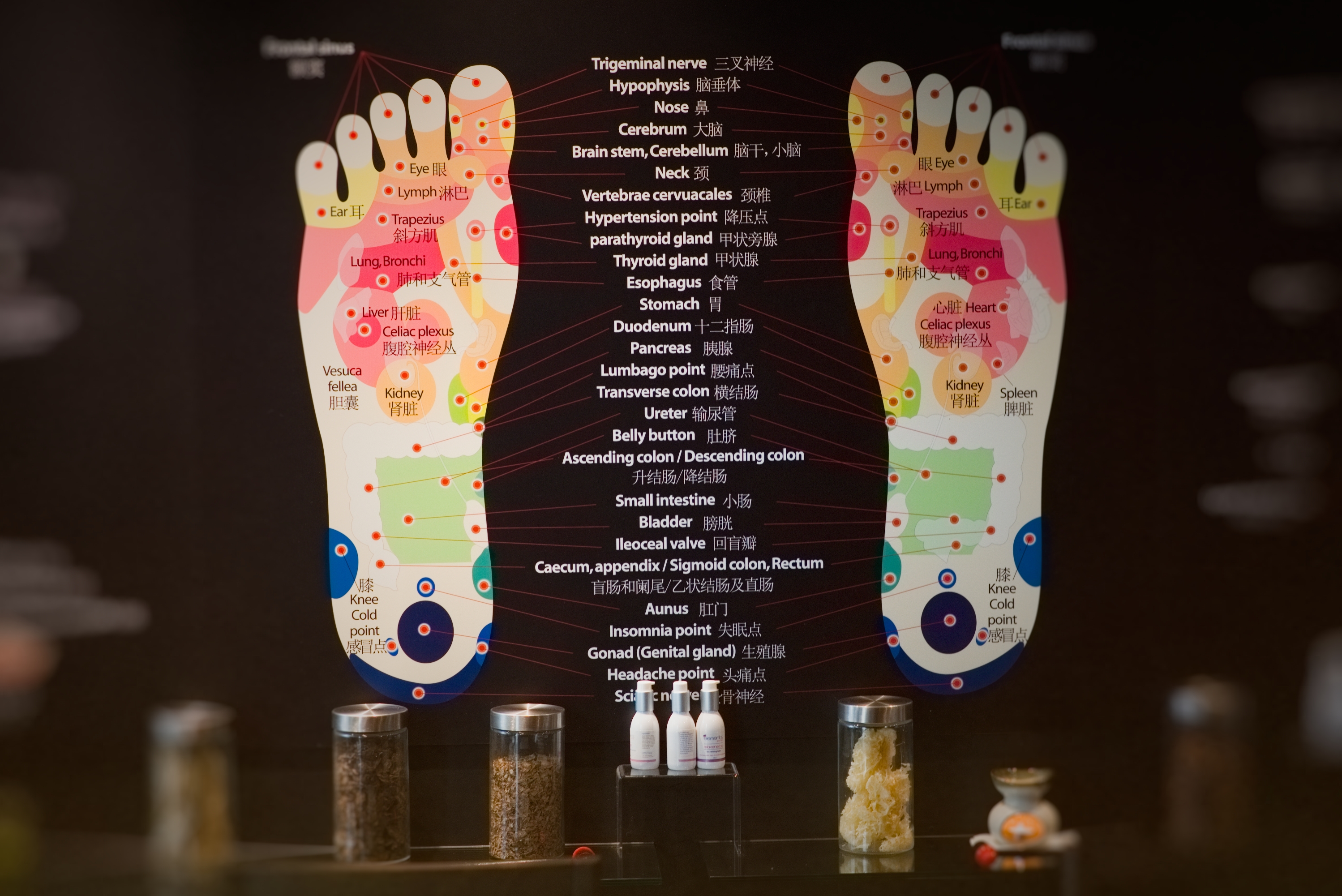 Green Palm Massage - Victoria Gardens image 9